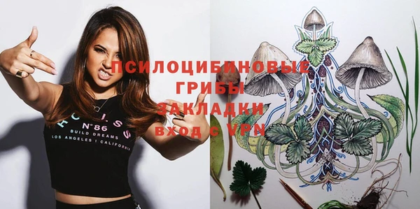 spice Баксан