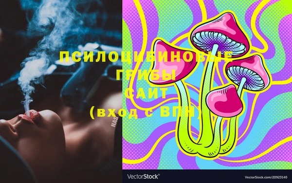 spice Баксан