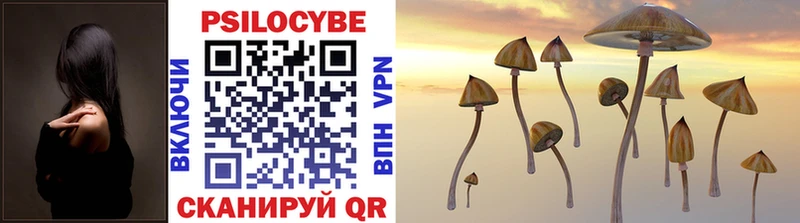 Галлюциногенные грибы MAGIC MUSHROOMS  ОМГ ОМГ ссылки  Волчанск  цены наркотик 